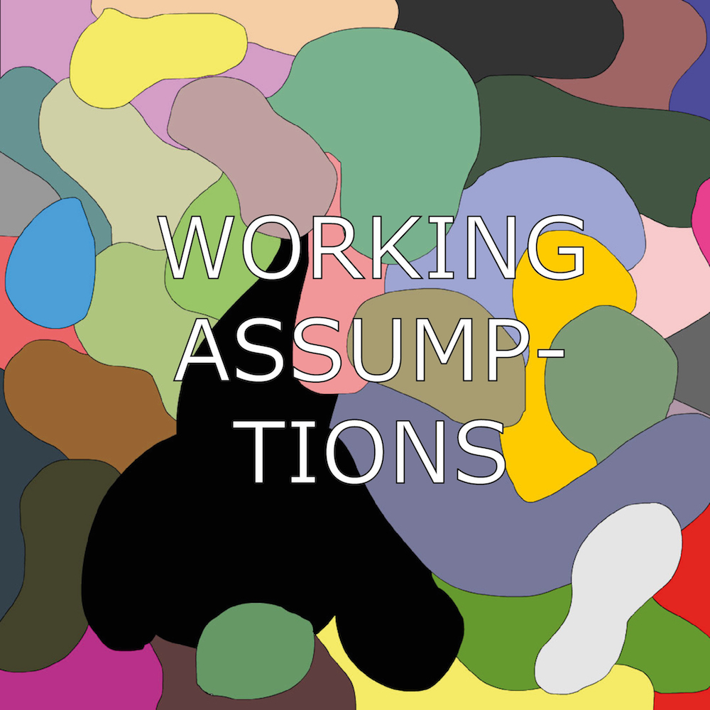 working assumptions